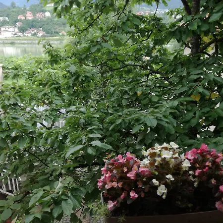 Cherry Flower Appartement *