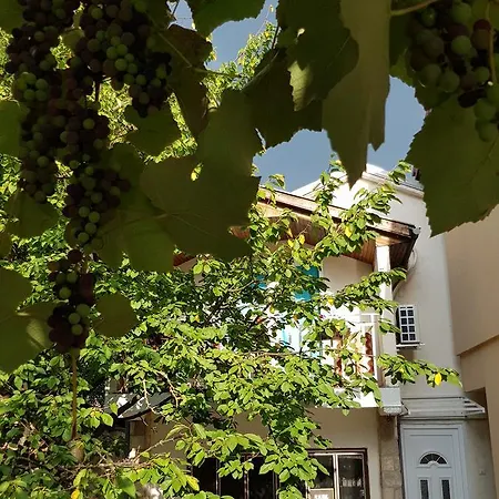 Cherry Flower * Višegrad