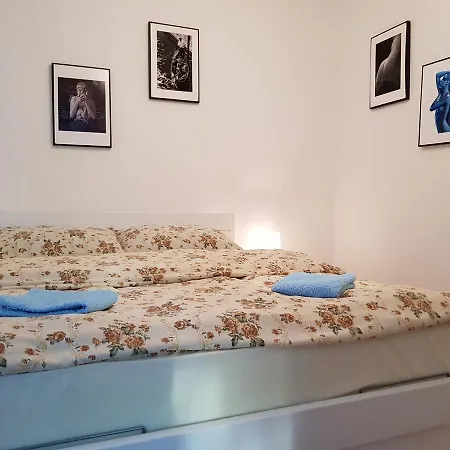 아파트 Cherry Flower *